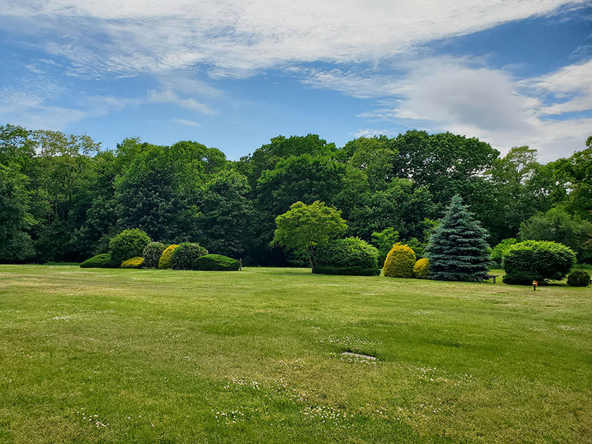 Dickenson Meadows