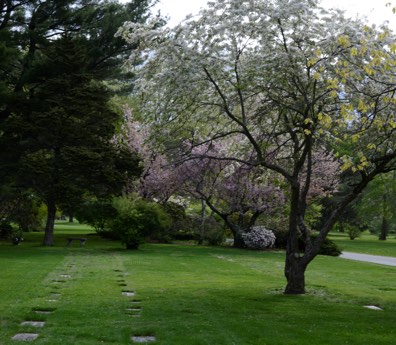 View of the Cemetery