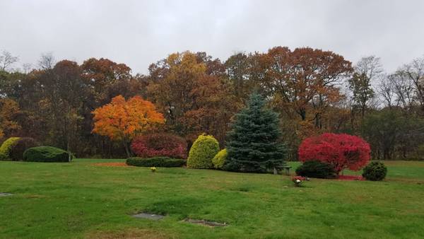 What is a Memorial Park