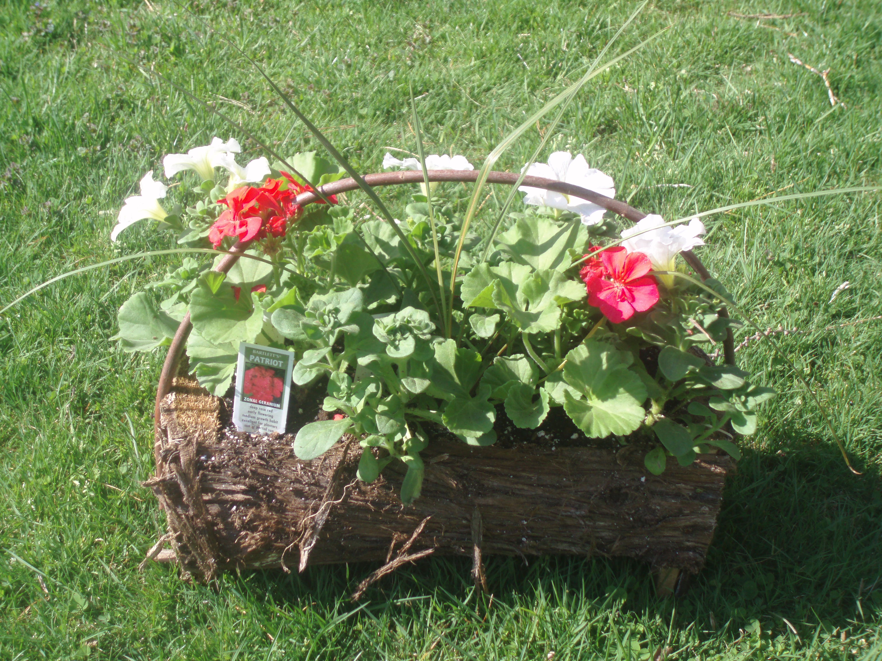 Small Spring Basket